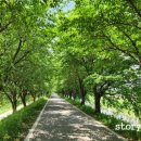 주동마을회관 이미지