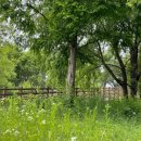 백제나루 영농조합법인 | 한방 투어, 여행하고 힐링도 하고...금마저 익산 백제마을 웰니스 한방 투어, 익산 풍경 맛집 베스트 3...