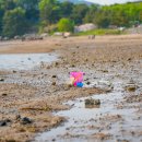 죽림해수욕장 이미지