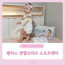 참소프트 | 팸퍼스 엔젤브리즈 소프트팬티 베이비드라이 비교 신제품 후기