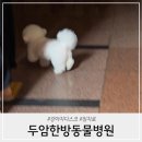 두암동물병원 이미지