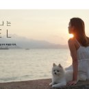 창경호텔 이미지