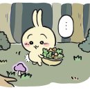 우사기 - 부산진구 당감로 53-3 | 우사기