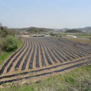 금공리농장 이미지