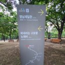 망우공원 영남제일관 입구 광장 | 대구 영남제일관이 있는 망우당공원 일명 망우공원 주말가족나들이 장소로 추천합니다