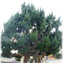 문내 우수영초등학교 이미지