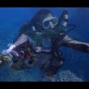 mares horizon 호라이즌 리브리더다이빙 대구씨앤아이 이미지