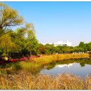 영남대학교 이미지