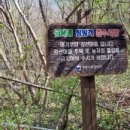 야생화마을펜션민박 이미지