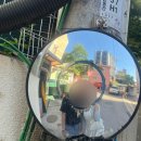 리히터 | [혜화 카페] 리히터ㅣ필터커피와 매실티가 맛있는 감성카페