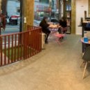 봉주르독 이미지