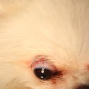 온누리동물병원 이미지