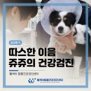 쥬쥬동물병원 | 웰케어 동물건강검진센터 따스한 이음 유기견 건강검진 쥬쥬의 후기