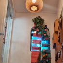 타이어바웃(Thai about) 이미지