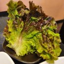 시청역맛집, 시청역삼겹살 맛집 <또바기> 후기!