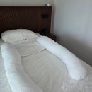 해피테일즈 바디필로우 내돈내산 2달 사용 후기