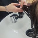 갈마동1인미용실 보나살롱 대전 퍼스널컬러염색 후기