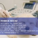 푸름켄넬 이미지