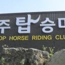 탑(TOP) 승마클럽 이미지