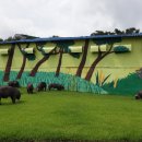 김영신축산 이미지