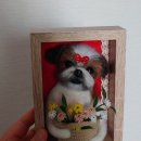 쁘띠댕댕 이미지