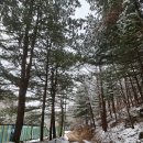 원주굽이길 원11코스 다둔인벌길 Daum카페