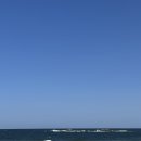 사돈네닭강정 이미지