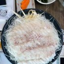 진미명가 | 제주도 서귀포 맛집 진미명가 다금바리회 내돈내산 후기