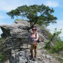 카페수련 이미지