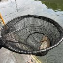 아름낚시터 이미지