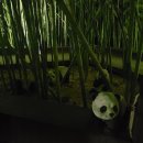 십리대밭 산책로 화장실 이미지