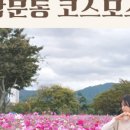 삼문풋살경기장 이미지