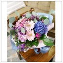 샤론의꽃 이미지