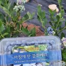 주주농원