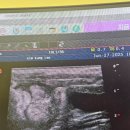 도그앤피플 동물병원 이미지