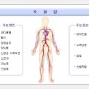 저혈압(低血壓) 이미지