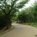 850 전망대 이미지