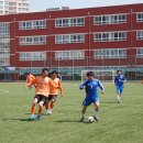 명서초등학교 이미지