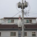 오션당구클럽 이미지