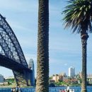 시드니호텔 2 이미지