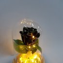 블랙로즈(장미) 프리저브드 유리돔 - 경산꽃집 경산꽃배달 사동그린꽃 이미지