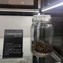 약령시장 이미지