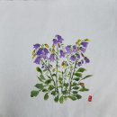천아트 Daum카페