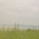 률 cafe Daum카페