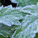 원주굽이길 11코스 부귀영화길 이미지