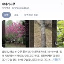 아리랑핫도그;떼루와;이슈 | 나만의 방식으로 현재를 기록하기