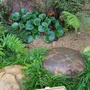 서구-01-01 이미지