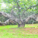 성환농업협동조합 이미지