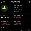 수정-131 이미지