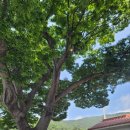 노도민박 이미지